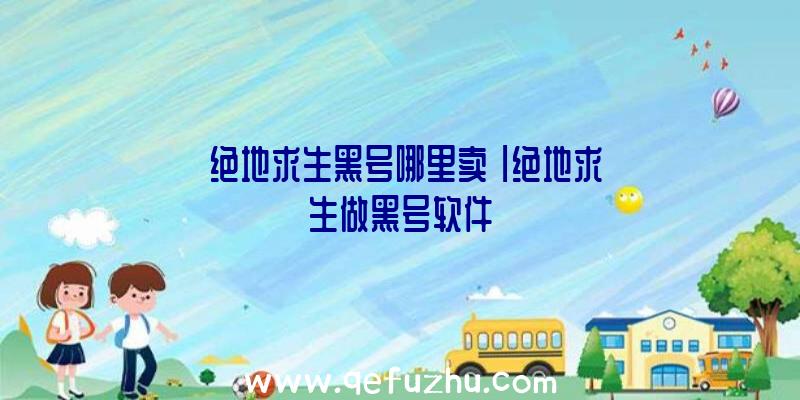 「绝地求生黑号哪里卖」|绝地求生做黑号软件